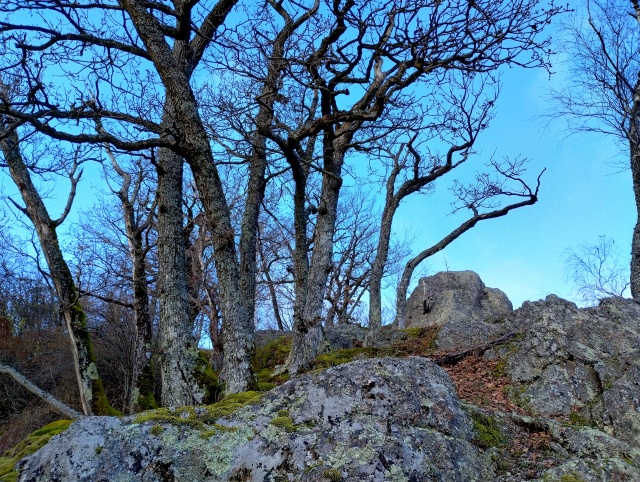 Hrebeň Čertovho hradu
