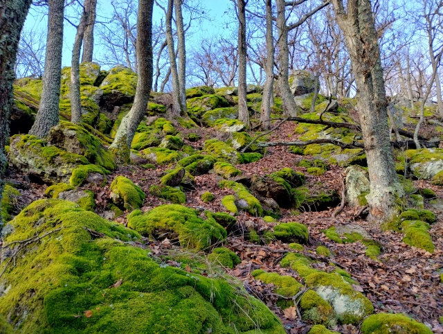 Hrebeň Čertovho hradu