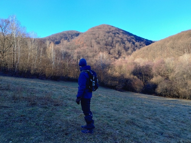 Špičiak z lúk nad Medzevom