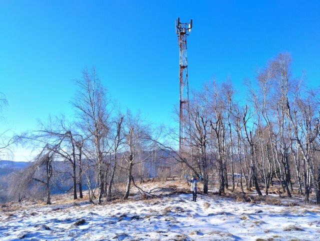 Brezový háj na Jeleňom vrchu