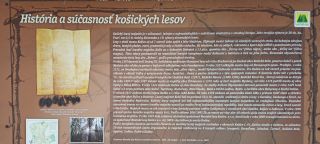 História a súčasnosť Košických lesov