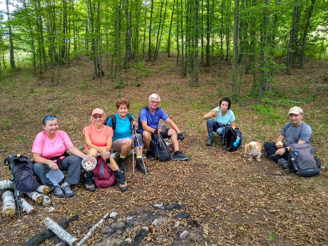 Partia pri odpočinku